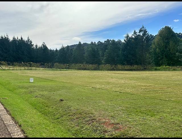 LAND FOR SALE IN DARGLE